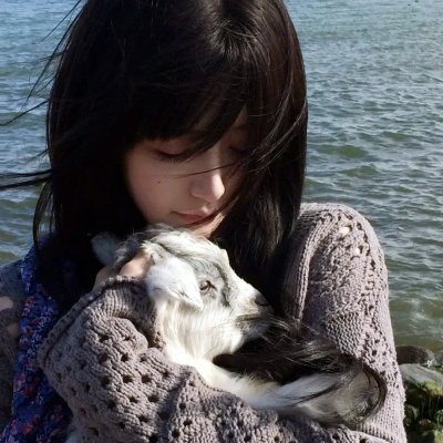 主妇狂想曲