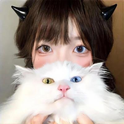 南拳蔡李佛粤语